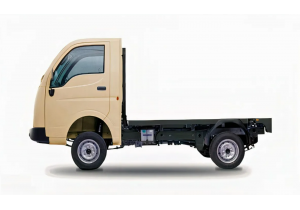 TITANIUM WH-TATA ACE GOLD P CAB CHASSIS