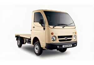 TITANIUM WH-TATA ACE GOLD P CX FL BSVI