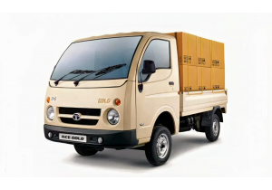 TITANIUM WH-TATA ACE GOLD P CX LD