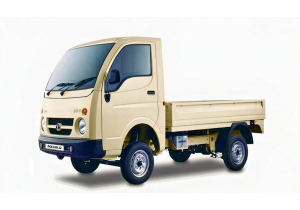 TITANIUM WH-TATA ACE GOLD PETROL BS-VI