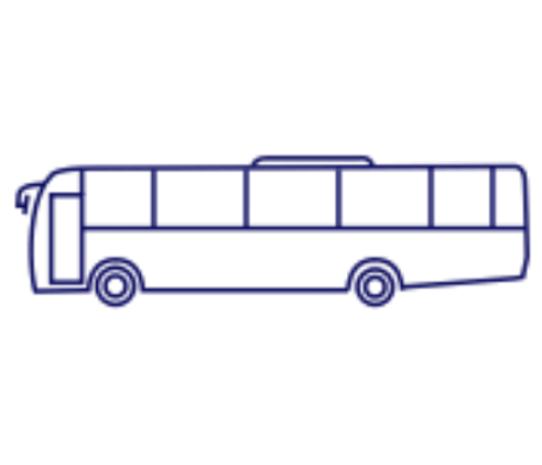 BUSES